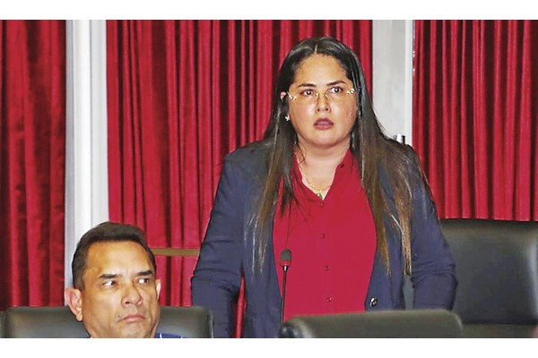 La diputada Rodríguez rechazó el proyecto.