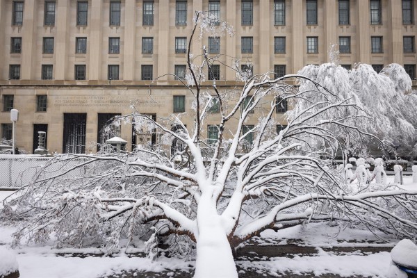 Una fuerte tormenta de nieve paraliza Washington durante horas