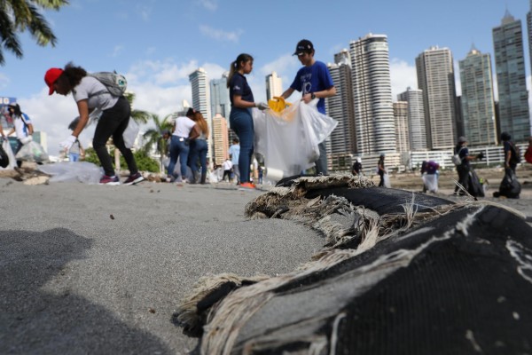 Limpieza de playa en la Cinta Costera