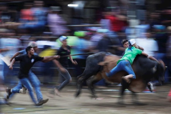 Efusiva celebraci&oacute;n folcl&oacute;rica en Guarar&eacute;