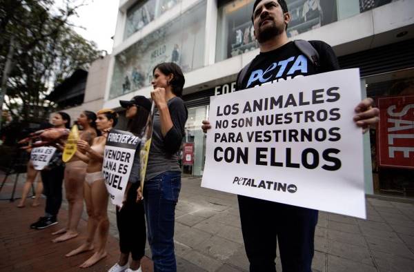Animalistas protestan en Bogot&aacute;