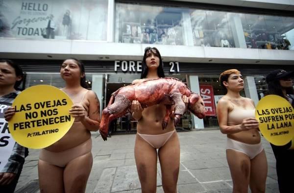 Animalistas protestan en Bogot&aacute;