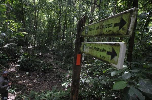 Los caminos perdidos que sentaron un precedente para crear el Canal de Panamá