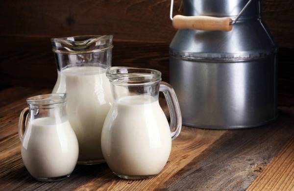 La leche y los productos lácteos son alimentos ricos en nutrientes que suministran energía.