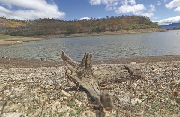 Fotografía de archivo fechada el 2 de marzo de 2020 que muestra una zona seca adyacente a la represa Los Laureles (Honduras).