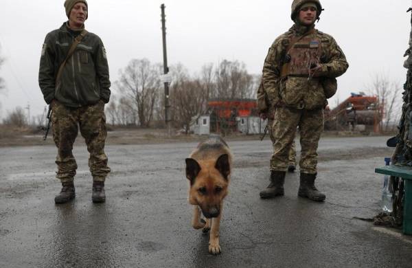 Imagen de soldados con un perro en Ucrania.