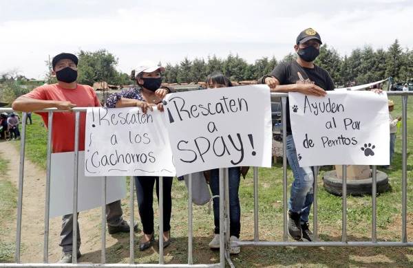 Habitantes de Santa María Zacatepec y animalistas protestan hoy durante la visita del gobernador Miguel Barbosa a la zona del socavón, en Puebla