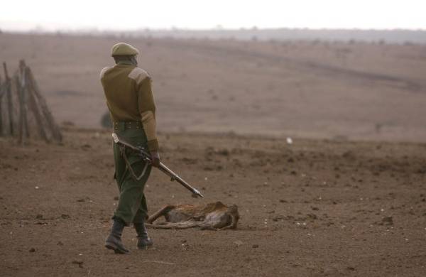Un guarda pasa al lado de una vaca que murió a causa de la sequía a las afueras de Nairobi, Kenia, en una fotografía de archivo.