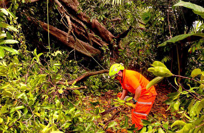 Se le reitera a la población mantenerse atenta a los avisos meteorológicos