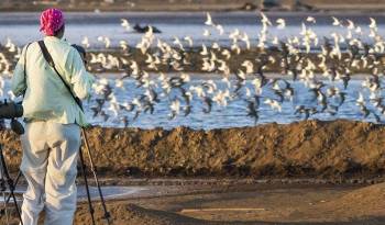 El museo biológico realizará una serie de actividades relacionadas a las aves durante todo el mes.