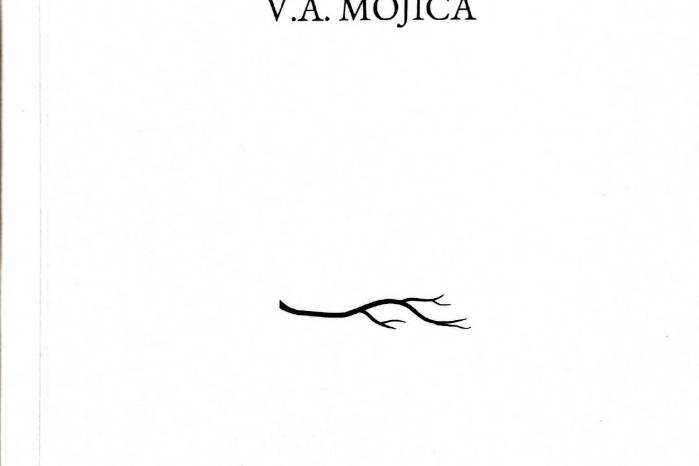 Libro de crónicas de Víctor Mojica