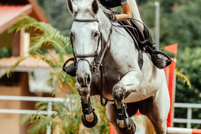 Sofía Ruiz Schuverer