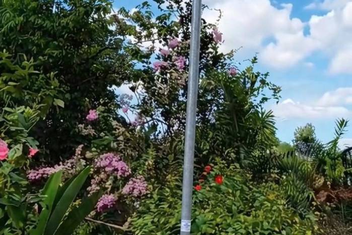 En el distrito de Ocú, provincia de Herrera, se lleva a cabo actualmente la adecuación de 14 km de línea de distribución eléctrica que beneficiará 73 casas, cuatro escuelas y un centro de salud.