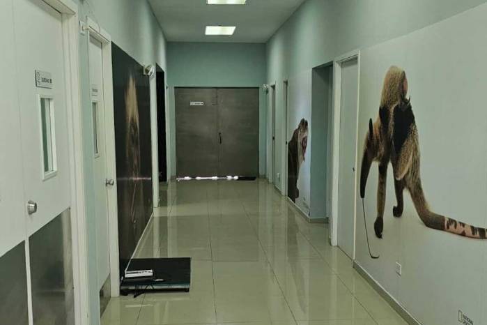 Interior de la clínica veterinaria.