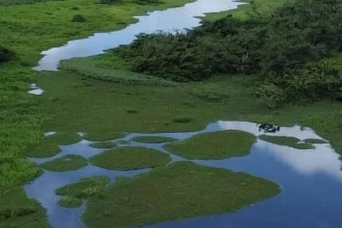 Humedal Matusagaratí, en Darién.