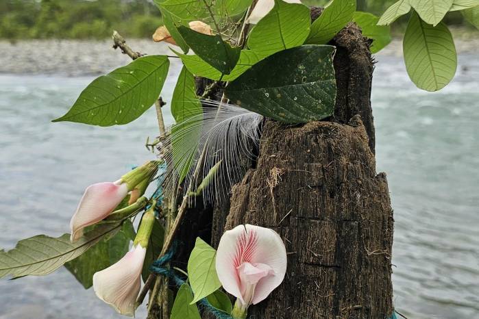 Las acciones artísticas se reflejaron en videoarte y fotografía.
