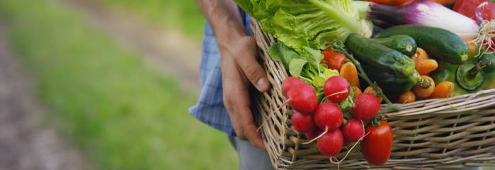 La comida es el sustento de la vida