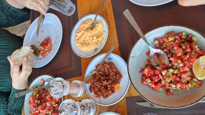Probé platos tradicionales como lubina a la parrilla, albóndigas, hojas de parra rellenas y ensalada de çoban.