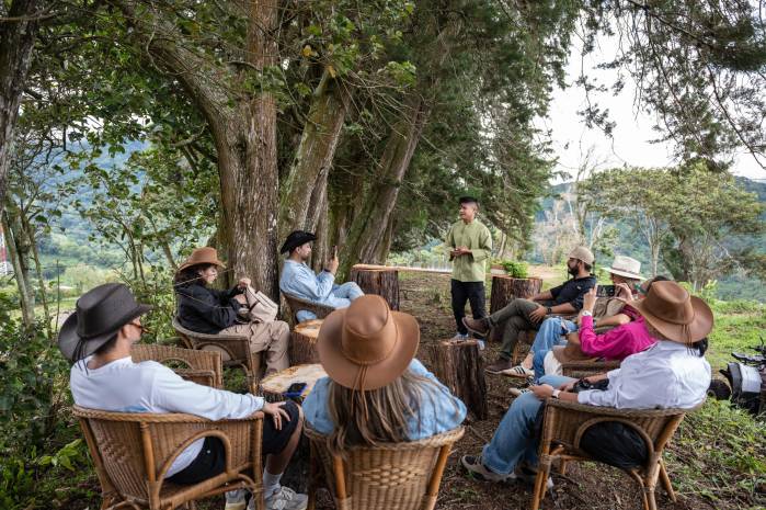 Los visitantes disfrutan del coctel Alto Quiel en la parte más alta de la finca.