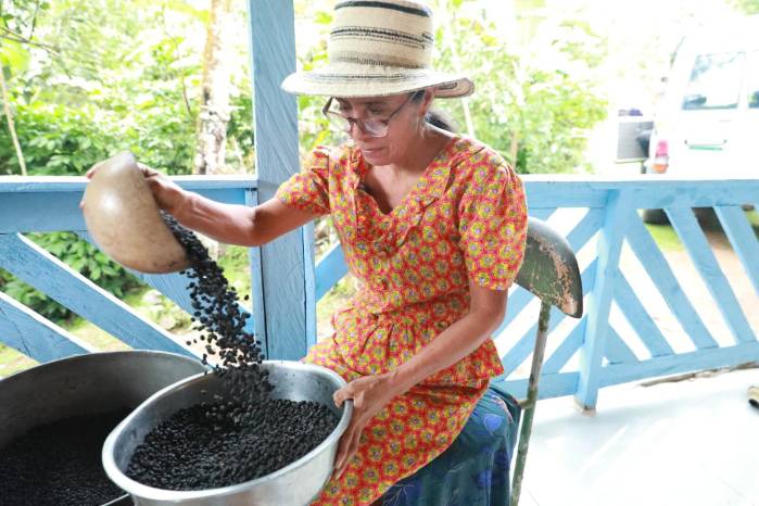 La producción de este café de bajura se realiza mediante técnicas orgánicas y sin pesticidas.