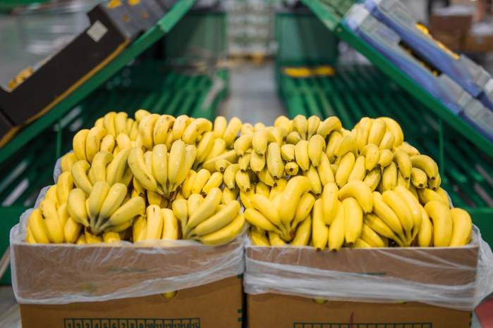 La alta demanda de banano producido en Panamá está impulsando las exportaciones del fruto.
