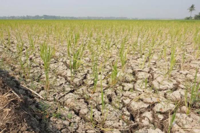 La asociación plantea reforzar la gestión del agua, los sistemas de riego y el apoyo a productores antes de la llegada de la estación seca.