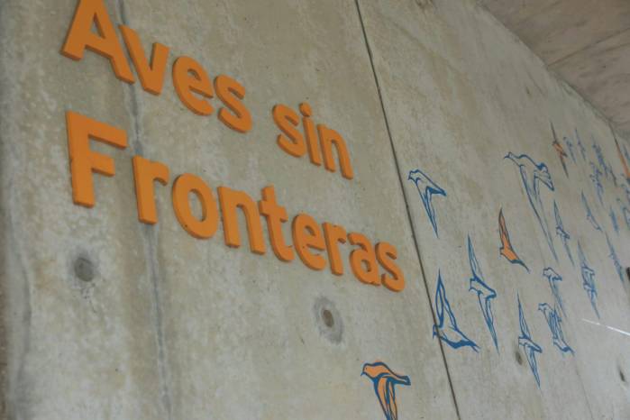 Uno de los murales principales llevaba la frase Aves sin Frontera.