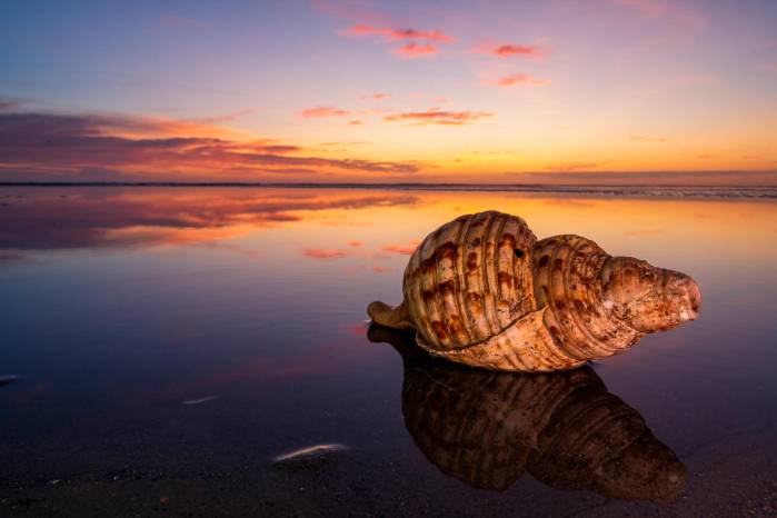 El Caracol