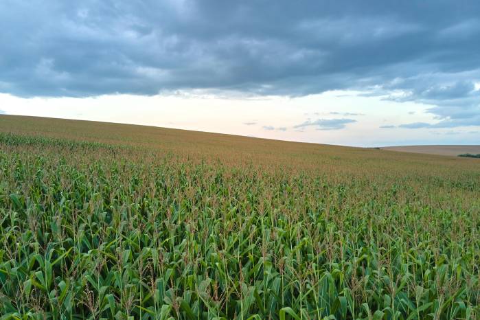 El agro suma tecnología para monitorear cultivos y fincas.