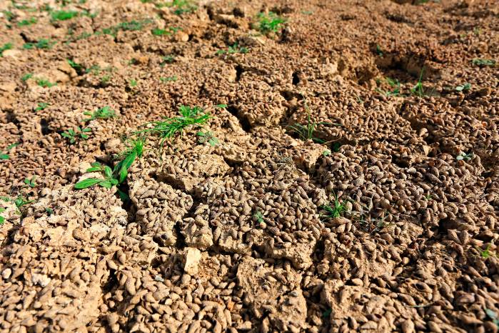 El clima transforma las finanzas - resiliencia u obsolescencia