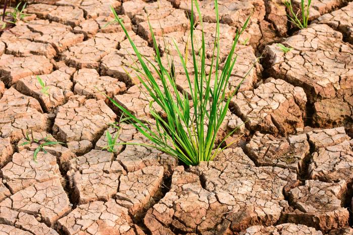 La OMM advierte sobre un mayor riesgo de sequías, inundaciones, calor extremo e incendios forestales durante los próximos meses.