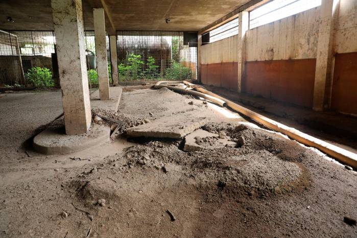 El piso del sótano colapsó por presión hidráulica y acumulación de sedimentos.