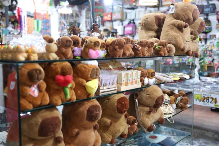 La demanda de los peluches de capibara no tardó en consolidarse.
