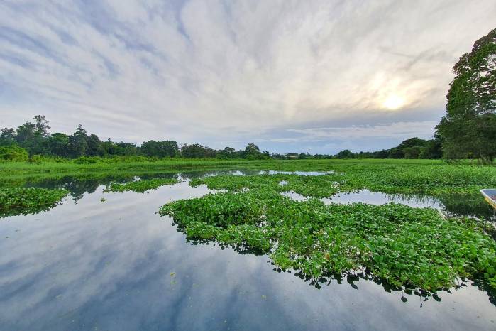 Humedal San San Pond Sack.