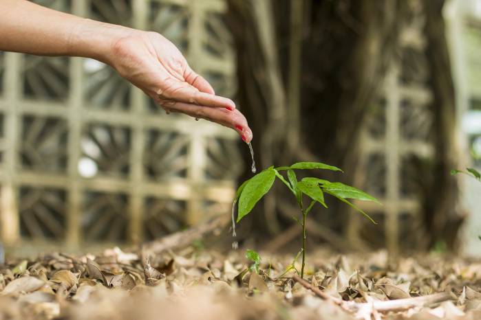La tecnología verde ayuda al ahorro de agua con los sistemas de riego controlado.