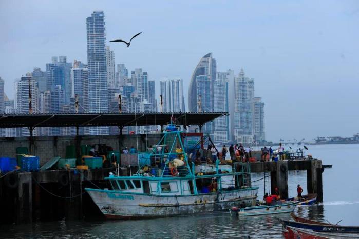 Panamá necesita obtener la “tarjeta verde” de la UE para evitar sanciones severas, entre ellas la restricción de exportaciones pesqueras, embarques y transbordos que implicaría una eventual “tarjeta roja”.
