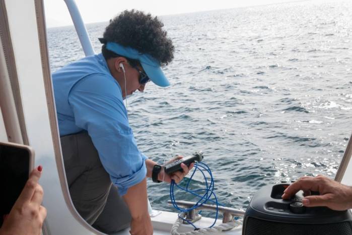 Los hidrófonos submarinos registran sonidos marinos que van desde los cantos de ballenas jorobadas hasta los ruidos de peces, camarones pistola y embarcaciones.