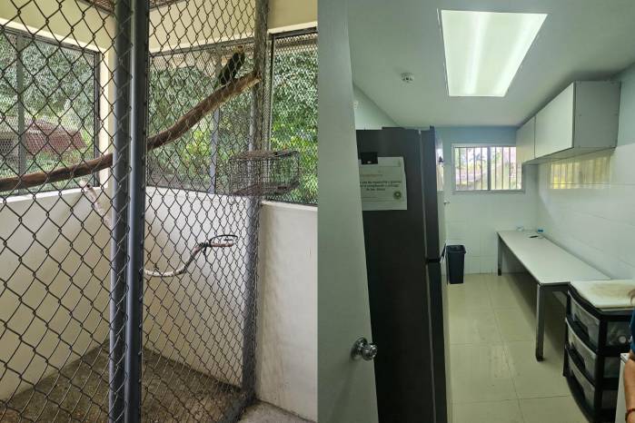 A la izquierda una de las jaulas con un ave en recuperación, a la derecha una de las salas de la clínica.