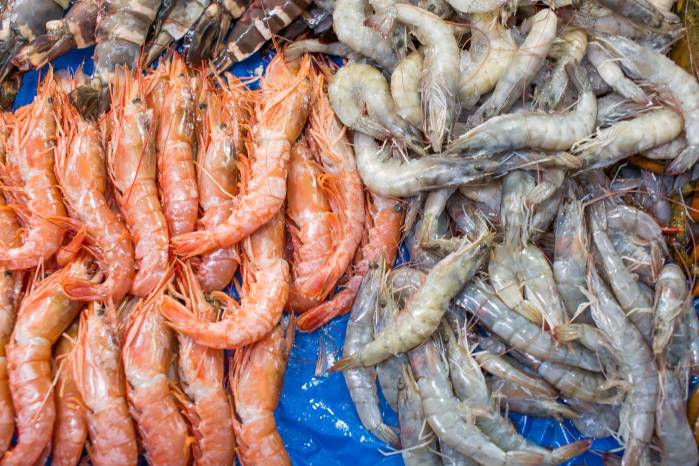 Los camarones congelados fueron el principal producto de exportación del país a abril.