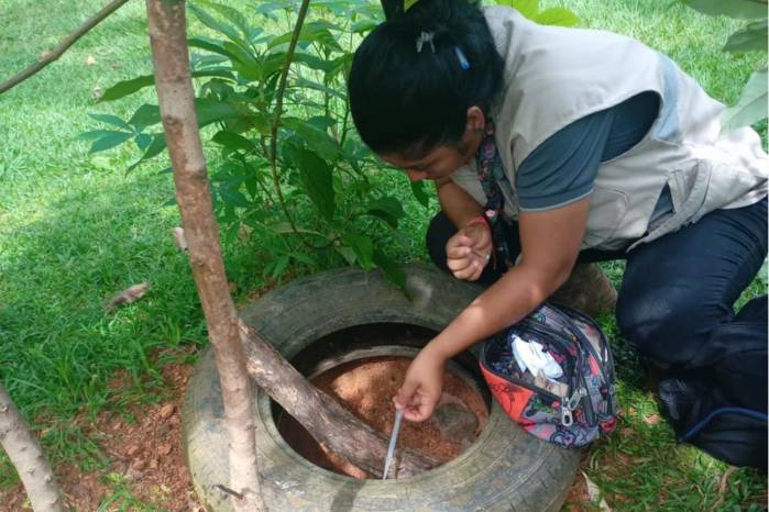 Las autoridades sanitarias instaron a la población a mantener las medidas de prevención, principalmente la eliminación de criaderos del mosquito Aedes aegypti, transmisor del dengue.