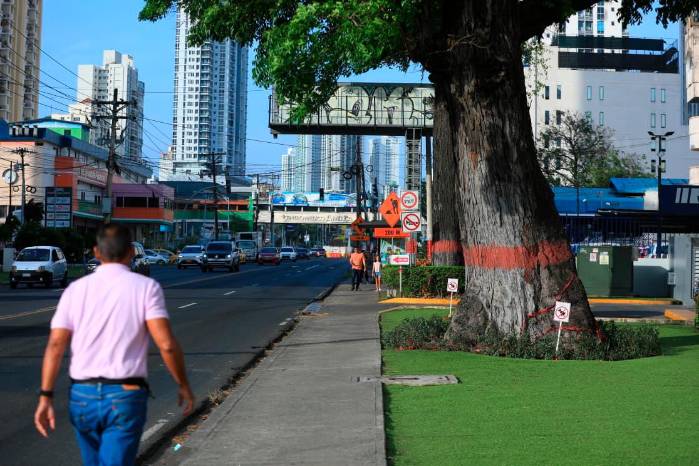 Desalojo en Río Abajo: 623 comercios denuncian falta de información ante ensanche de Vía España