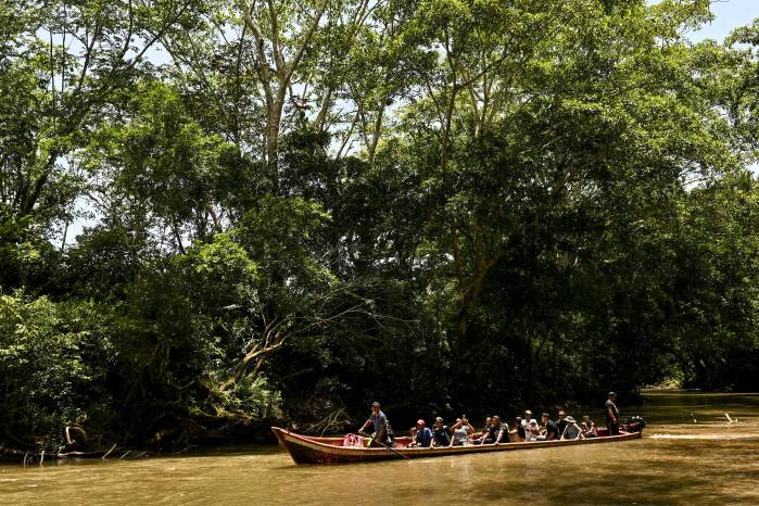 Personas navegan en canoas por el río Indio durante una protesta contra el proyecto de Río Indio, en Limón de Chagres, provincia de Colón, Panamá, el 25 de abril de 2026.
