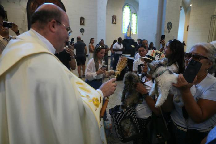 San Francisco de Asis fue proclamado patrono de los ecologistas y los animales por el Papa Juan Pablo II en 1980.