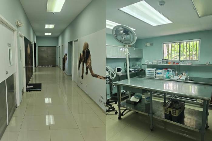 Dentro de las instalaciones de la clínica, a la derecha la sala de operaciones.