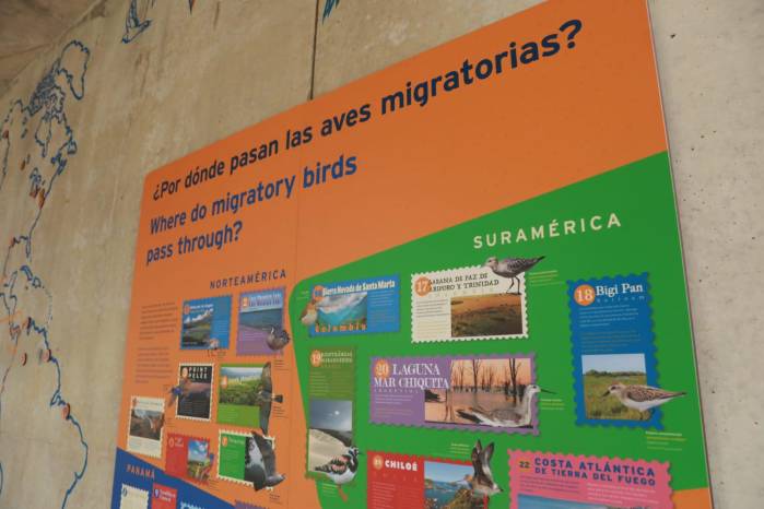 El Biomuseo colgó murales informativos para educar sobre las especies de las aves.