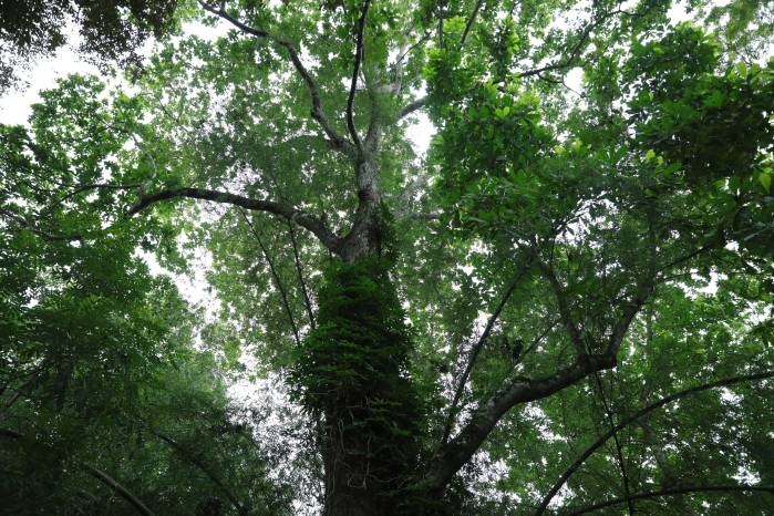 Antropología y cuidado de la naturaleza