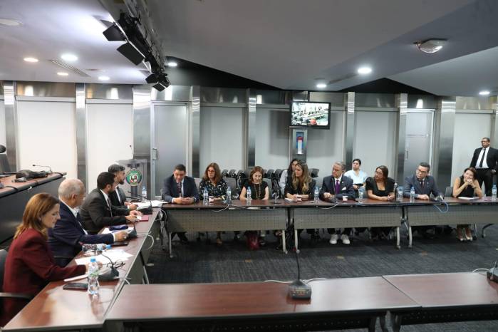 El debate evidenció tensiones entre regulación y libertad de expresión en medio de preocupaciones por desinformación en entornos digitales.