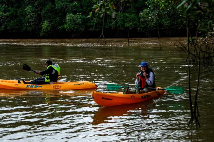 El kayak es una de las actividades turística que se ofrece dentro del Golfo de Montijo.