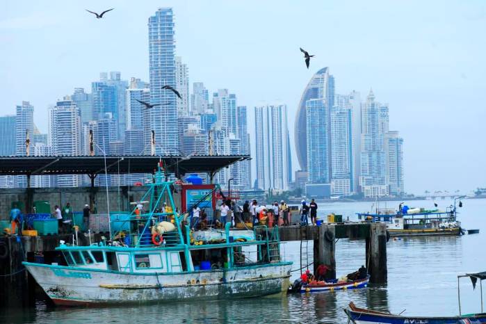 La actividad pesquera se mueve a flor de piel en un pequeño puerto en San Felipe, a orillas de la bahía de Panamá.