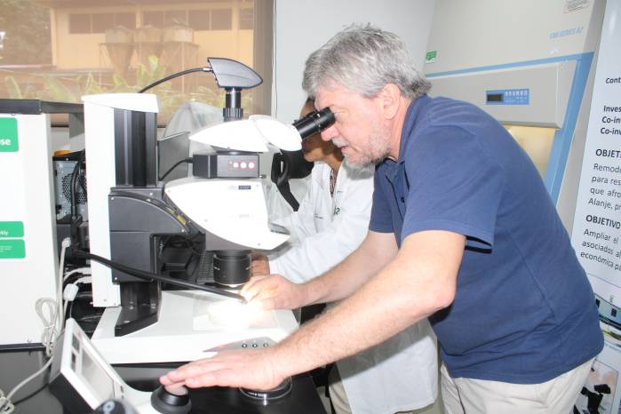 Estereoscopio Leica M205A del laboratorio.